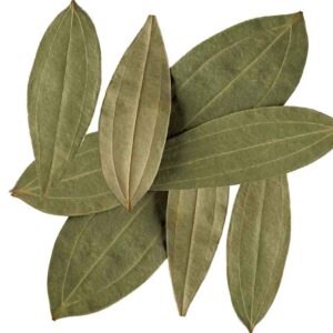 Bay Leaf
