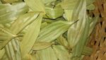 bayleaf