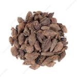 black cardamom