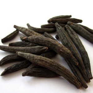 Kapok Buds (Marathi Moggu)